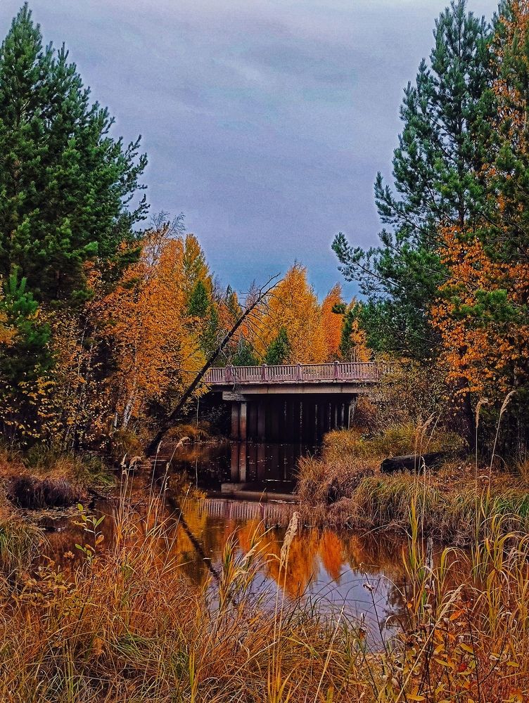 Фотография автора Оксана Радзиевская