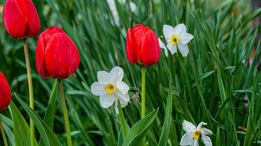 Photograph by Вадим Басов