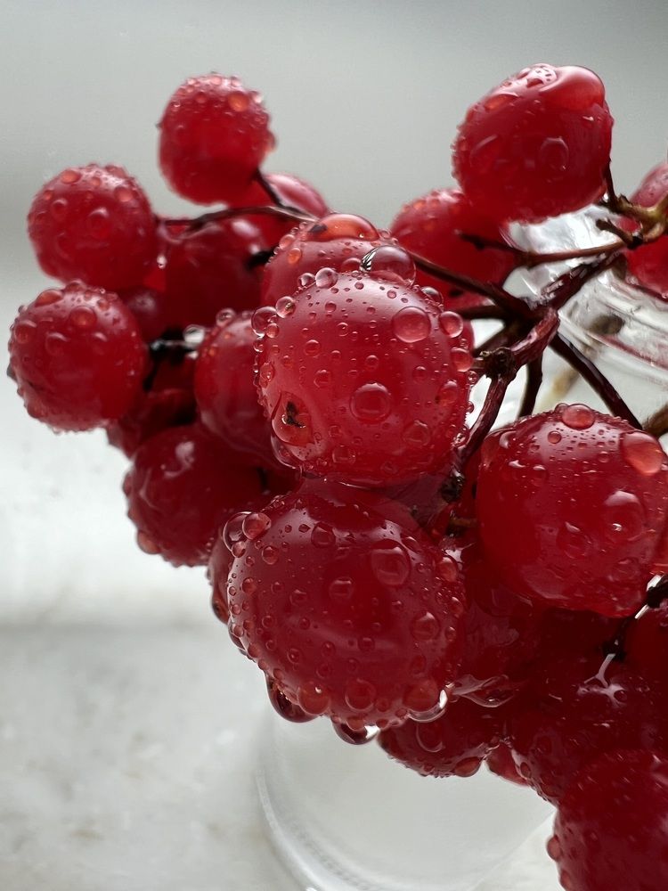 Photograph by Анастасия Германова