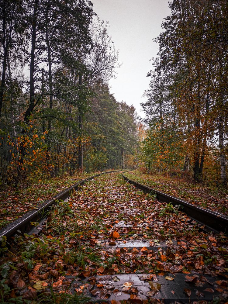 Фотография автора Александр Хухлов