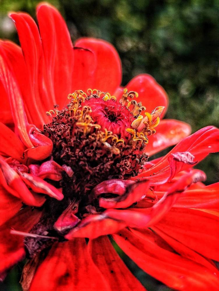 Фотография автора Оксана Радзиевская