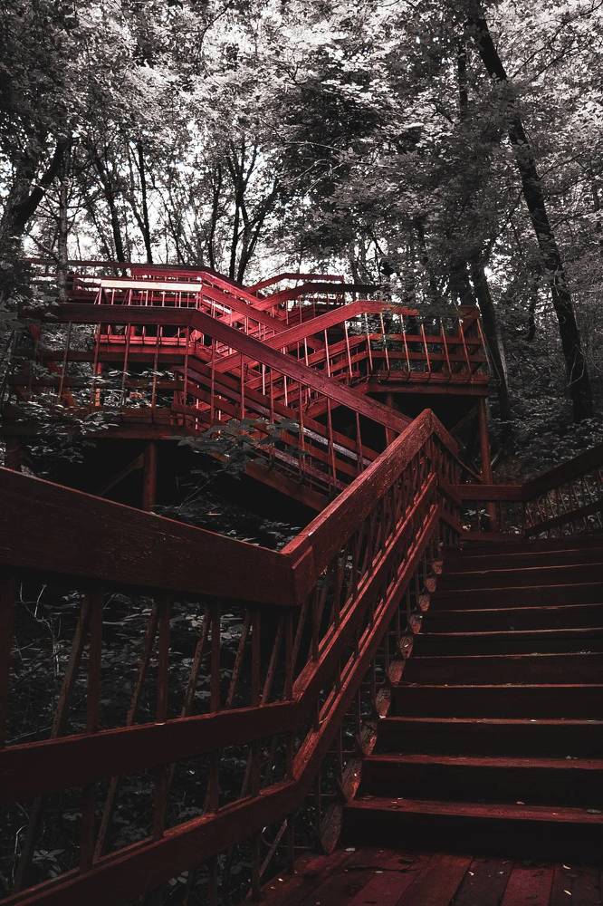 Photograph by Anastasiya Kobeleva