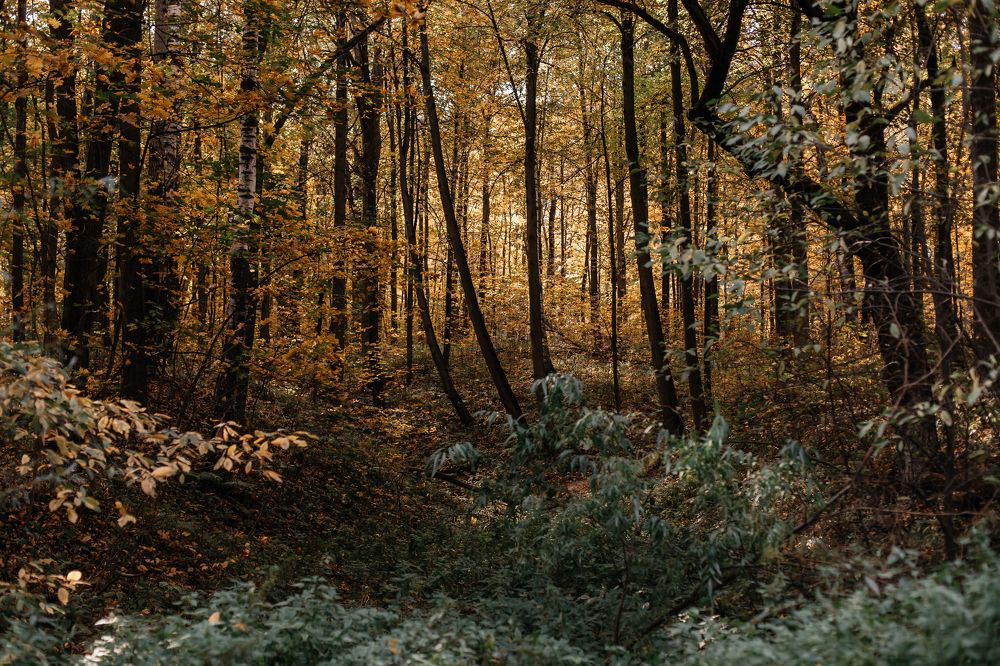 Photograph by Юлия Балашова