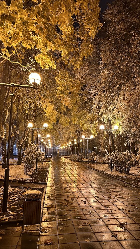 Фотография автора Митя