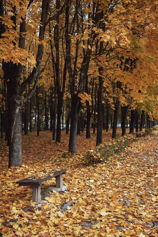 Photograph by Валерий Зенович