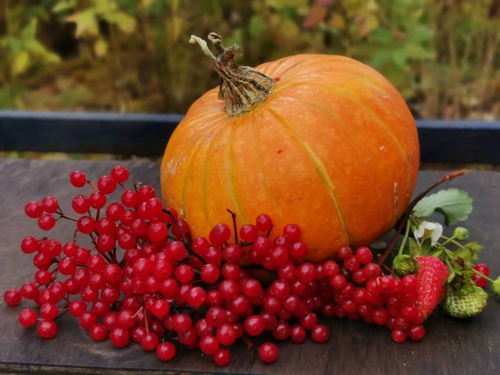 Photograph by Irina Luidinshina