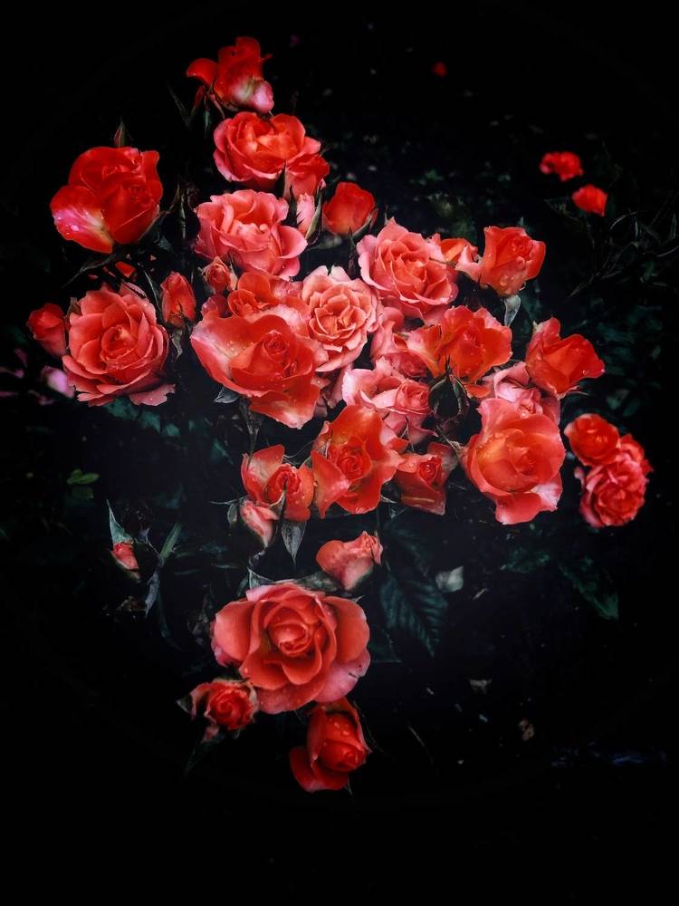 Photograph by Людмила Евстратова