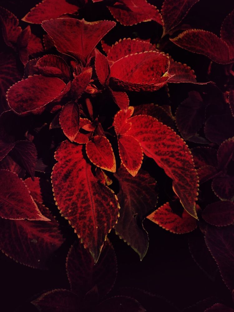 Photograph by Людмила Евстратова