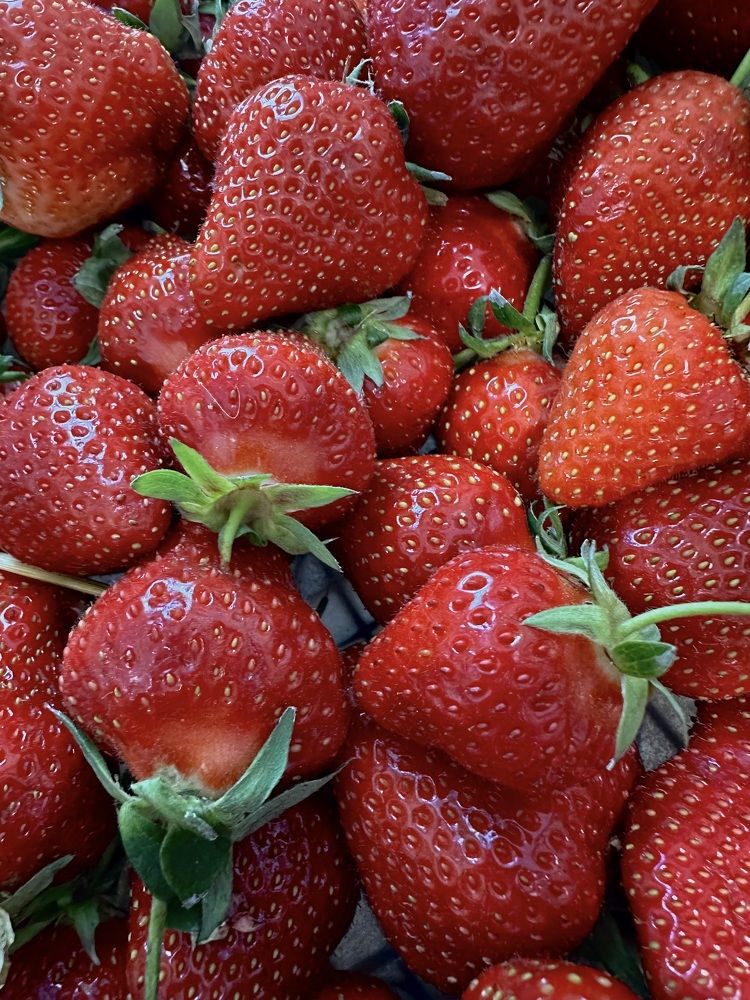 Photograph by Екатерина Балакина