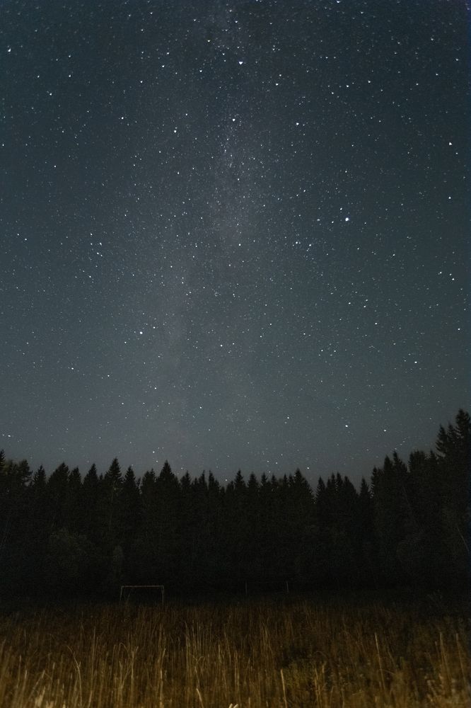 Photograph by Anastasiya Kobeleva