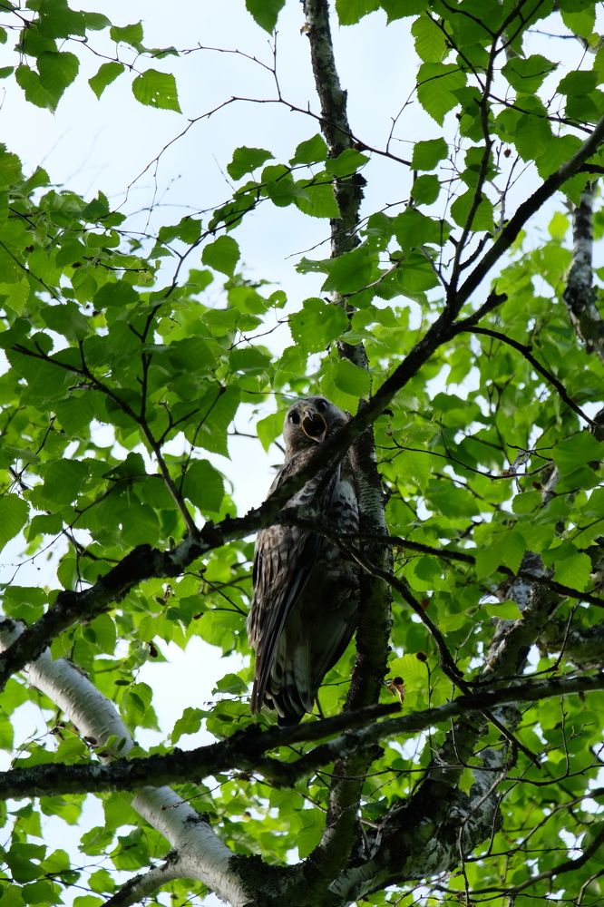 Photograph by Яна Бойко