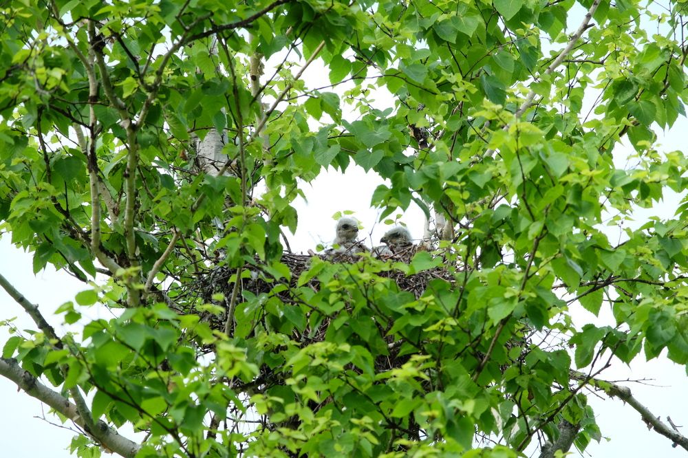 Photograph by Яна Бойко