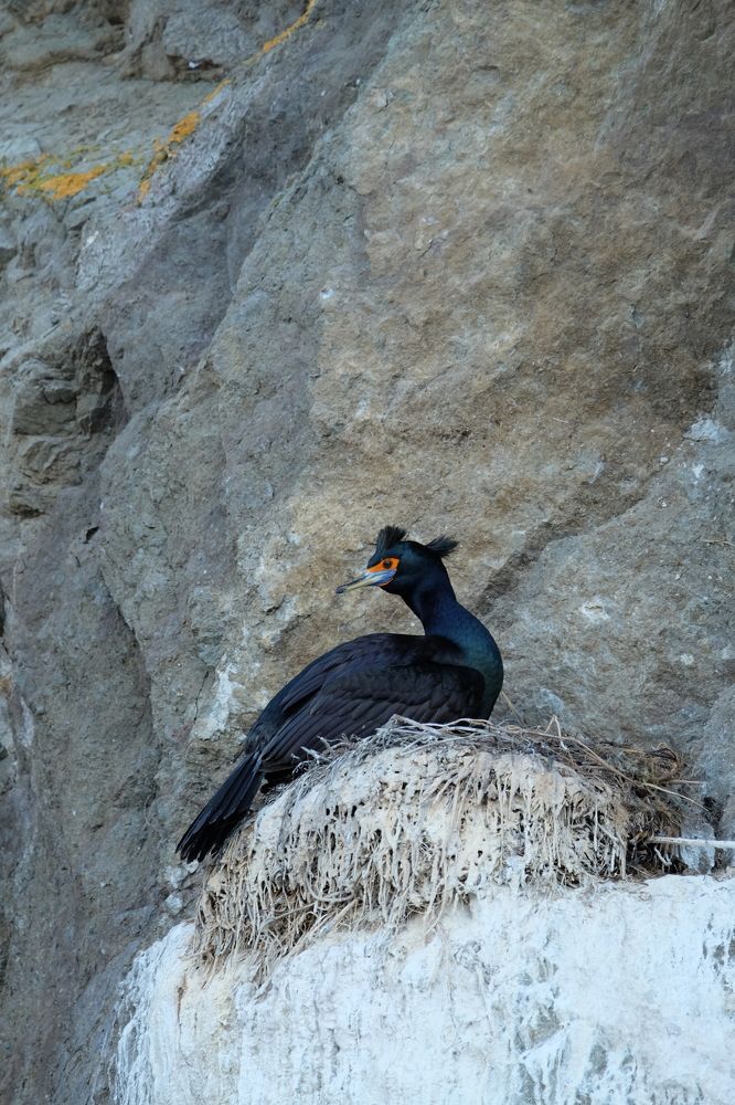 Photograph by Яна Бойко