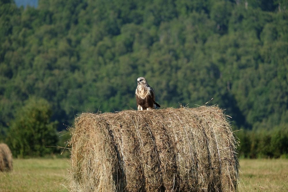 Photograph by Яна Бойко