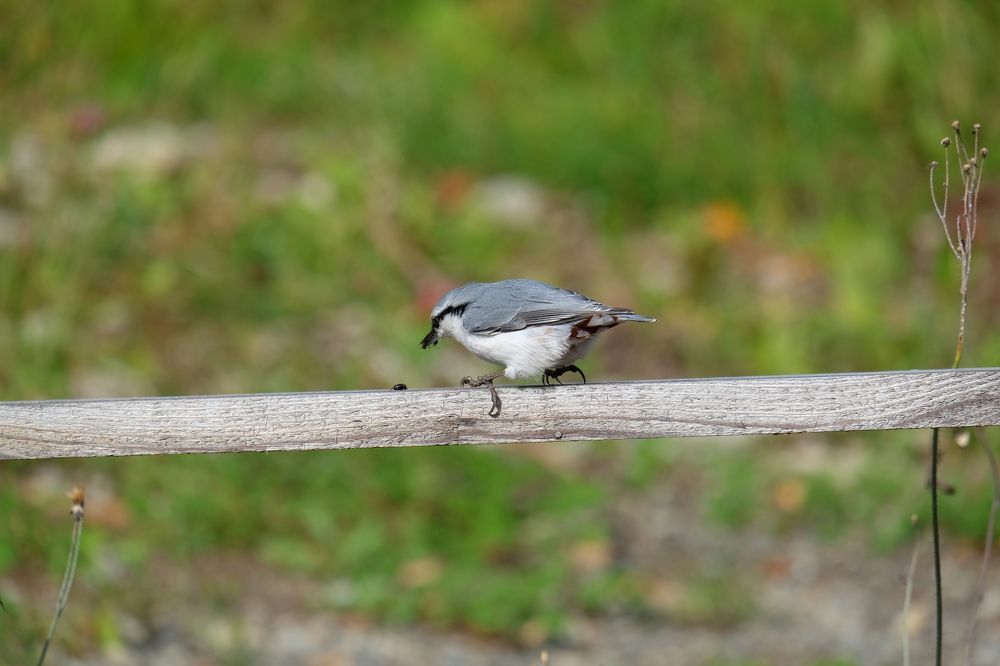 Photograph by Яна Бойко