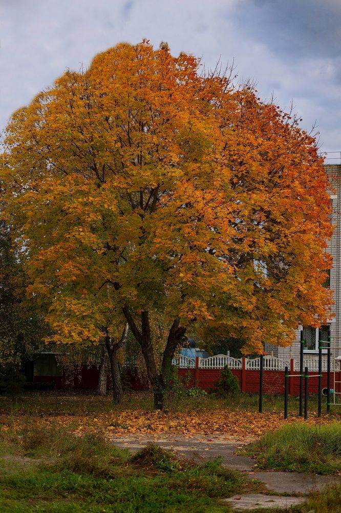 Photograph by Виктория Сивакова