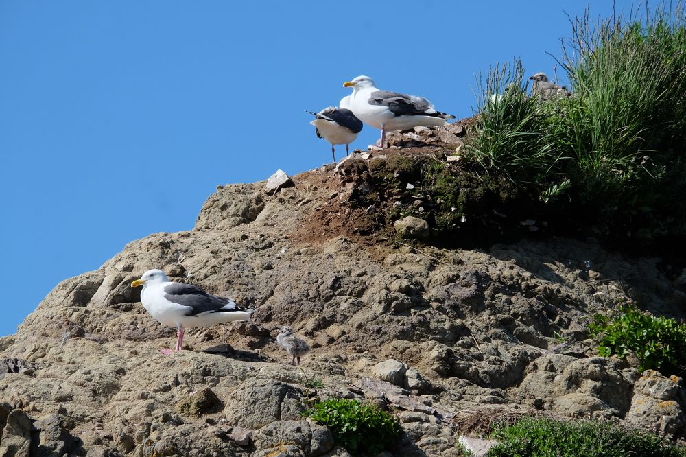 Photograph by Яна Бойко