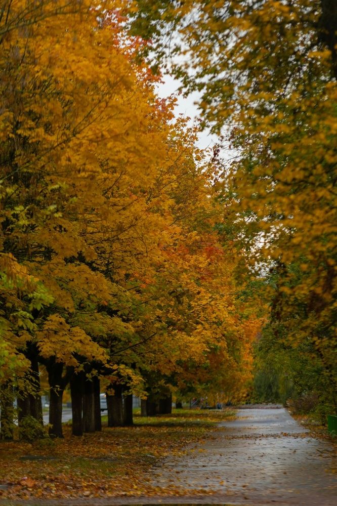 Photograph by Виктория Сивакова