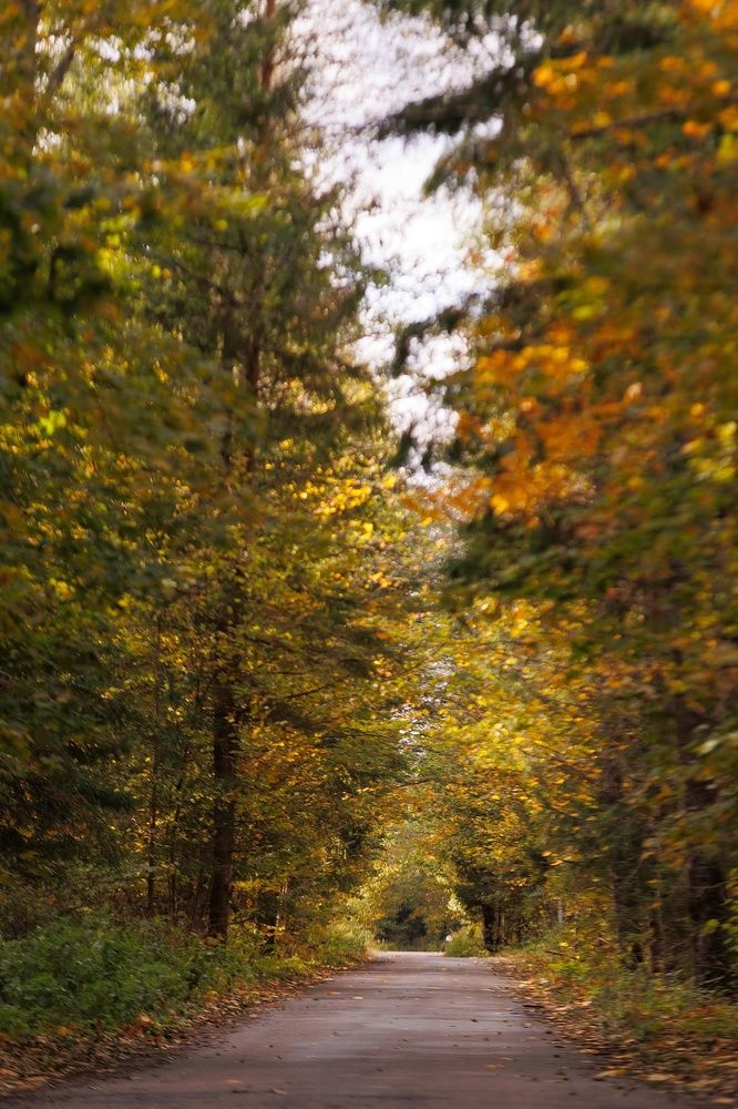 Photograph by Виктория Сивакова