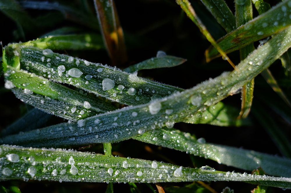 Photograph by Яна Бойко