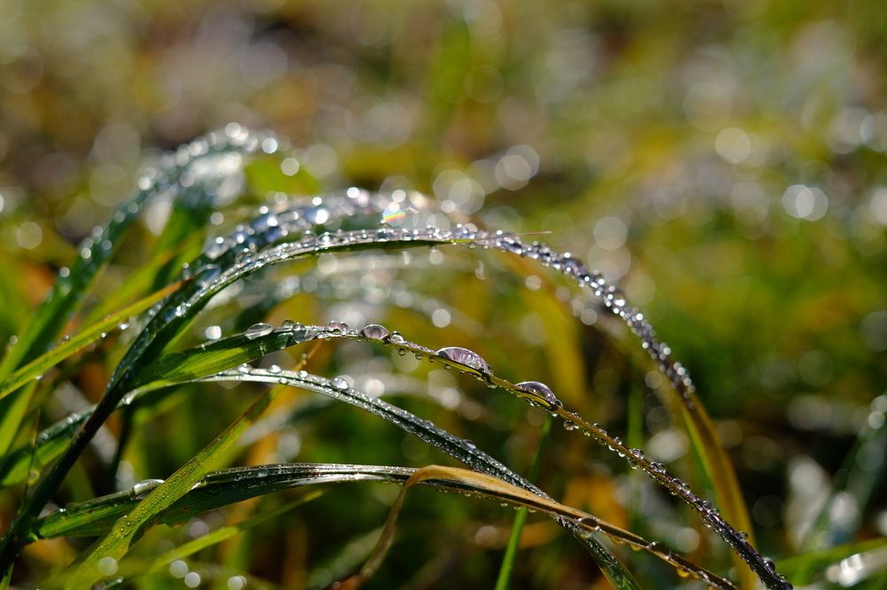 Photograph by Яна Бойко