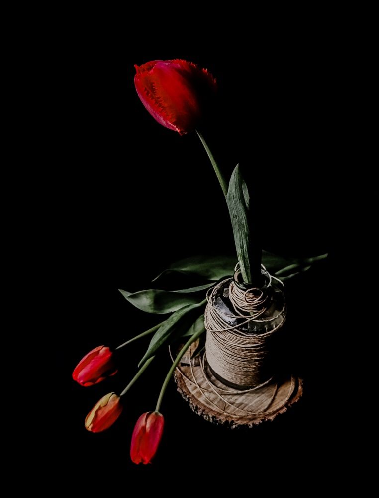 Фотография автора Юлия Якубова