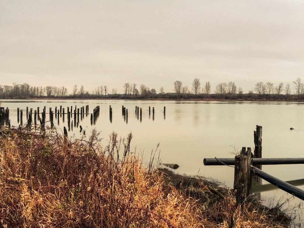 Photograph by Yana Bobrova