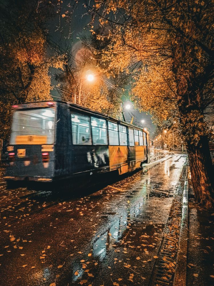 Photograph by Владимир Сушкин