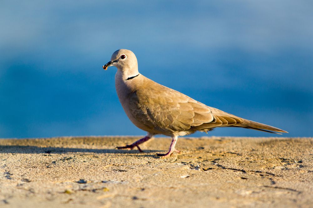 Photograph by Evelyn Carnot Montes