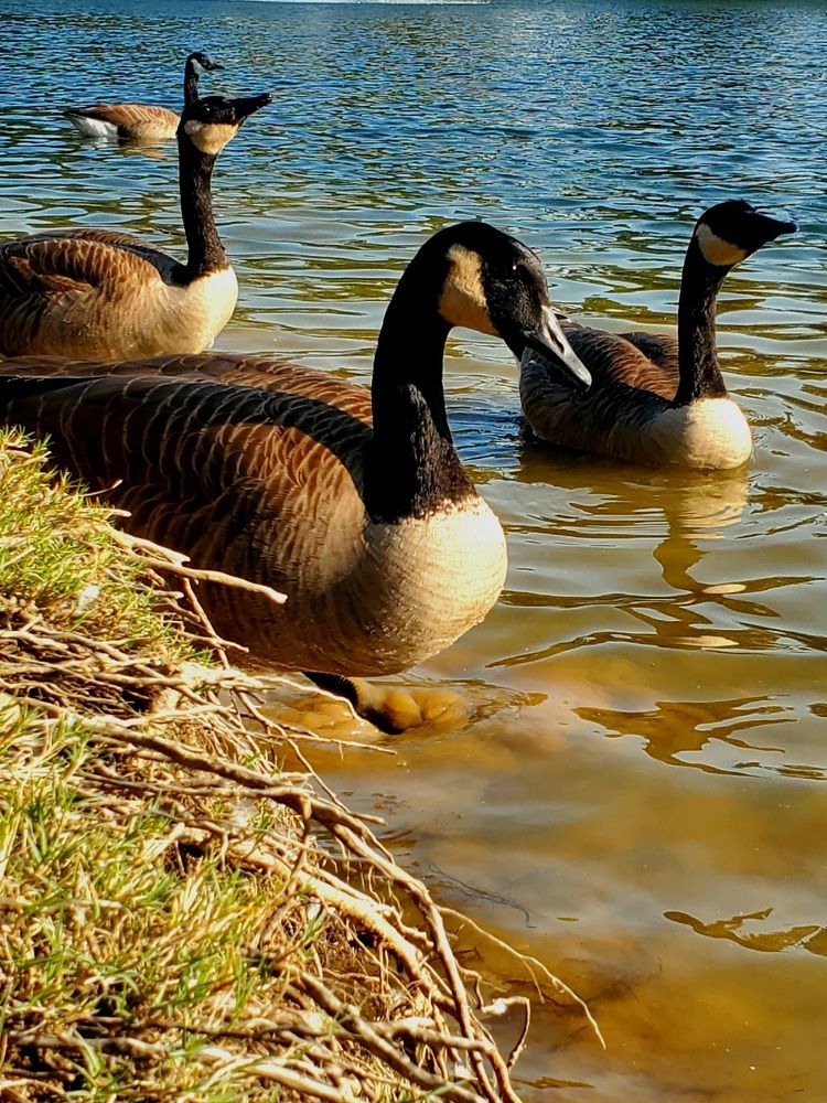 Photograph by Татьяна Пирс