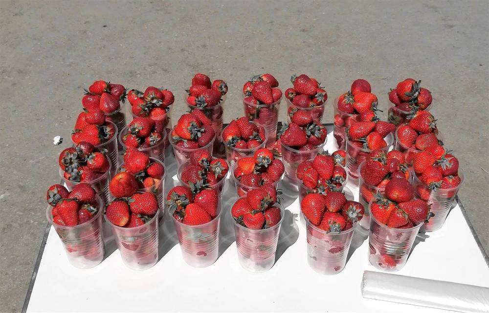 Photograph by Дмитрий