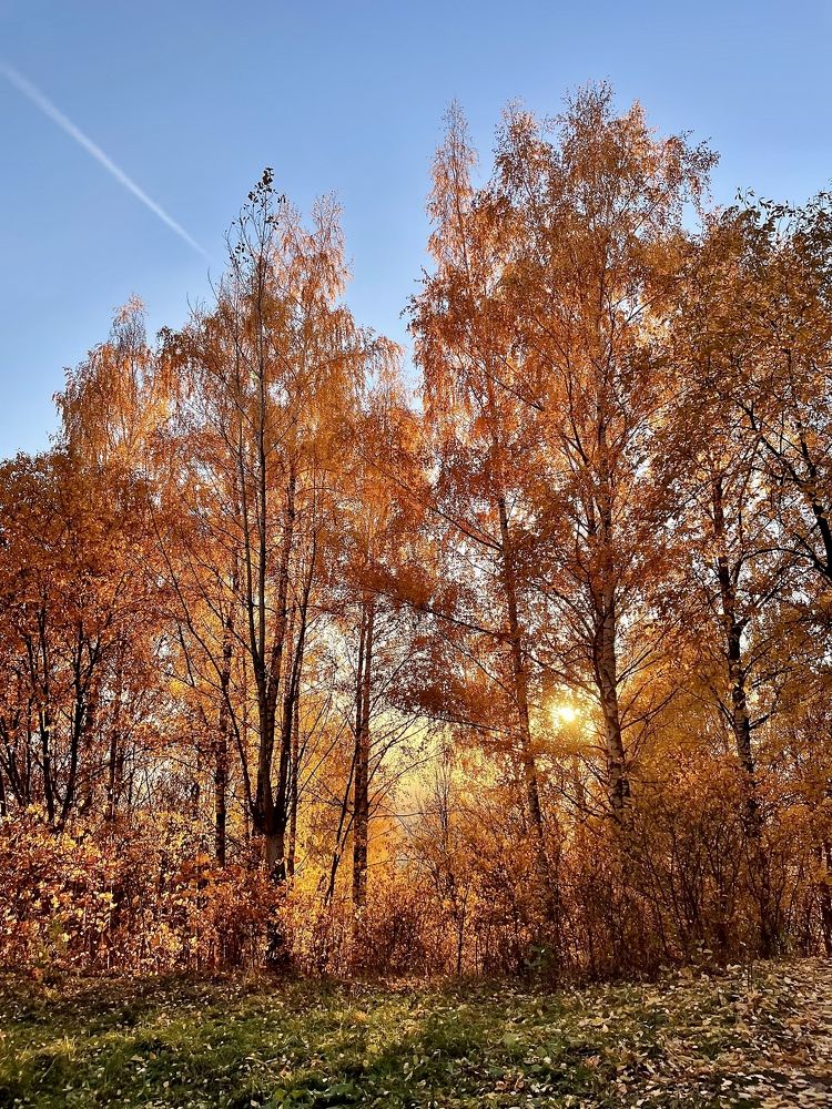 Photograph by Лариса Белашова