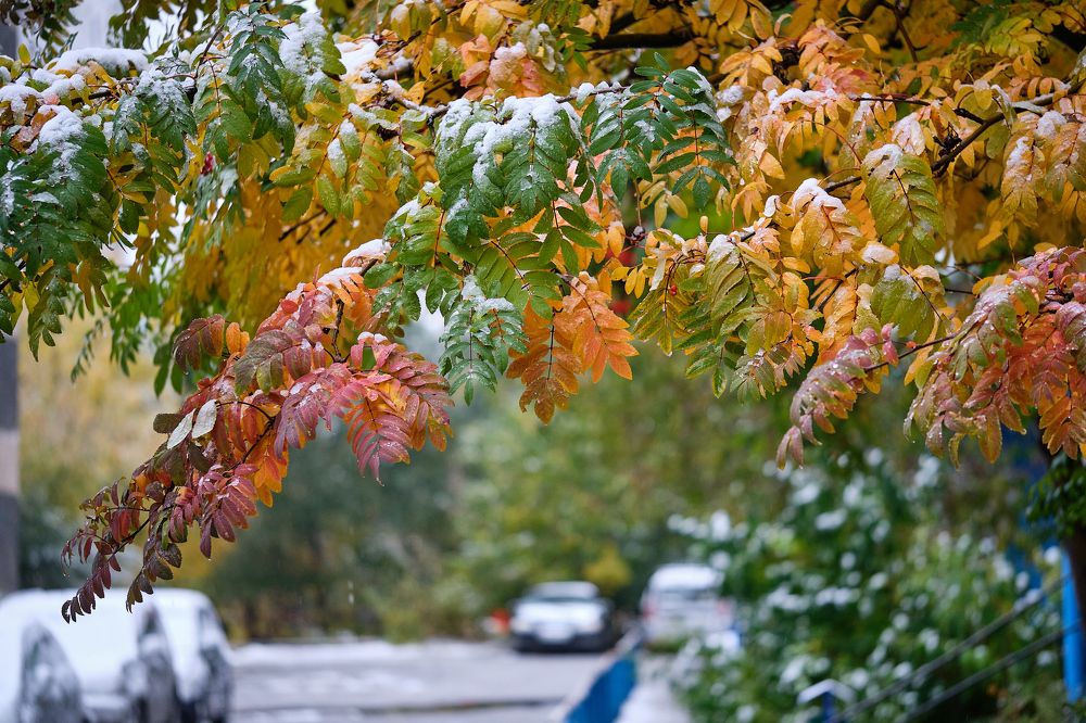 Фотография автора Лидия Филатова