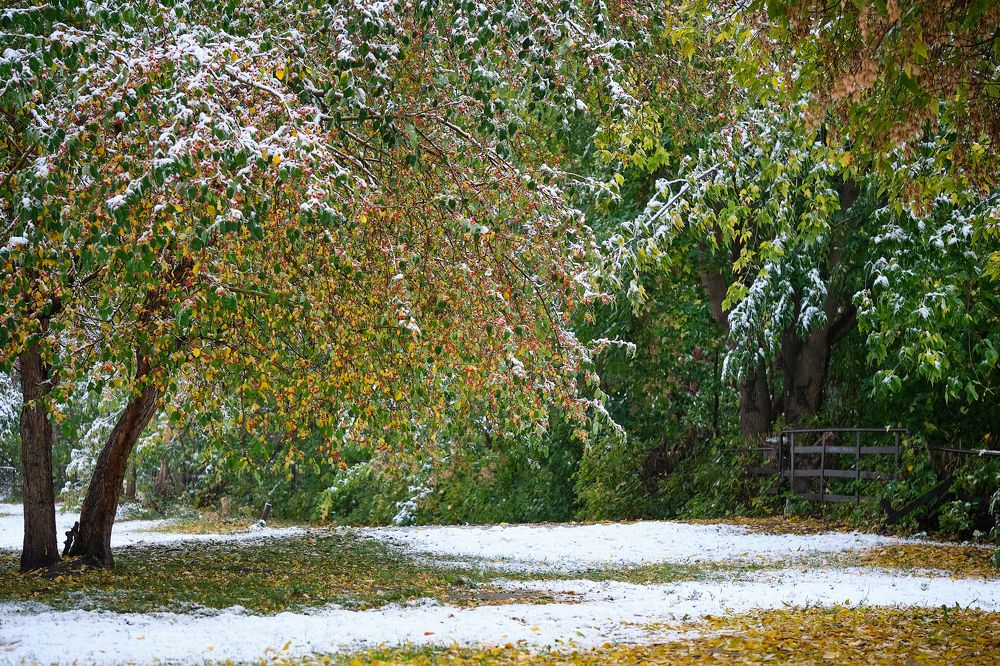 Фотография автора Лидия Филатова