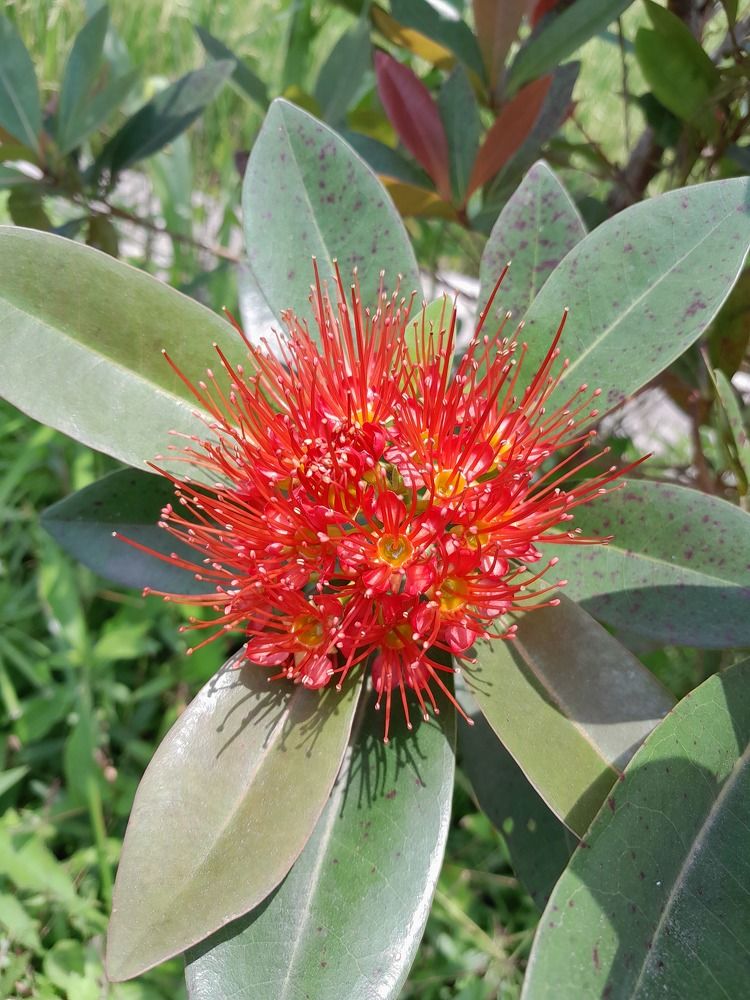 Фотография автора Zulfa