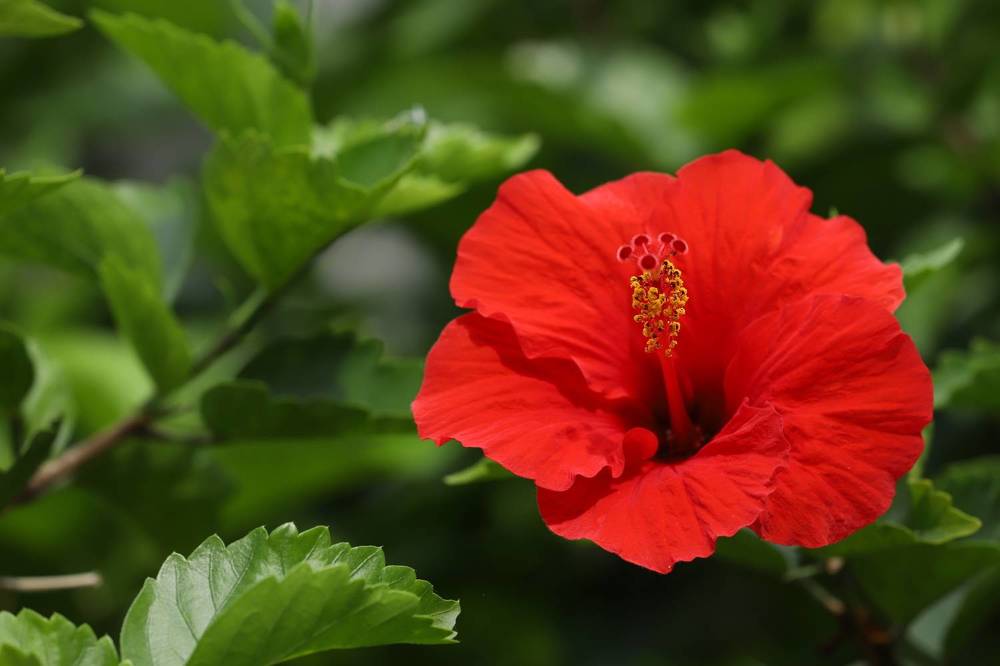 Photograph by Se Lena