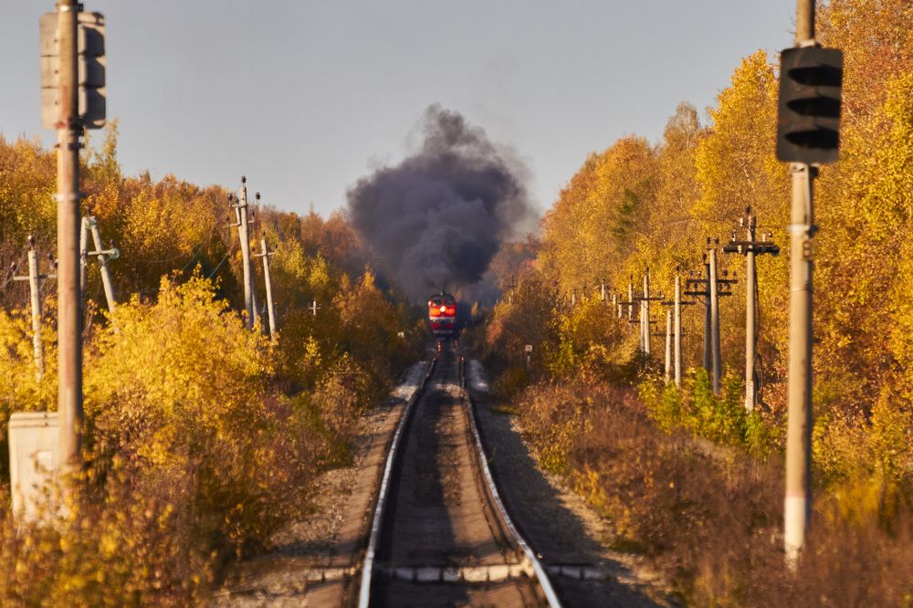 Photograph by Дмитрий Пасынков