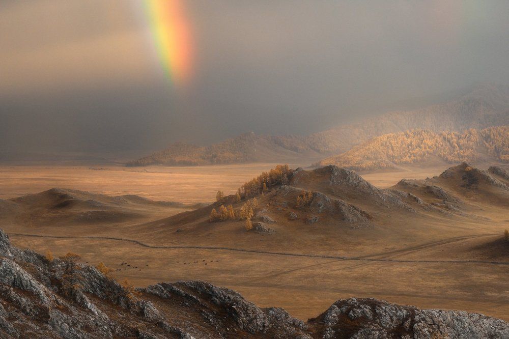 Photograph by Юлия Лаптева