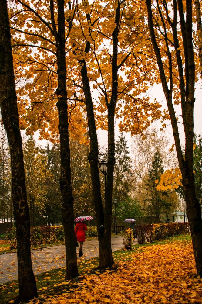 Photograph by Анна Ганькова