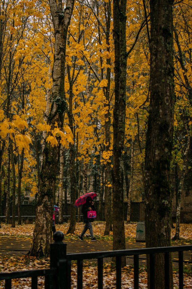 Photograph by Анна Ганькова