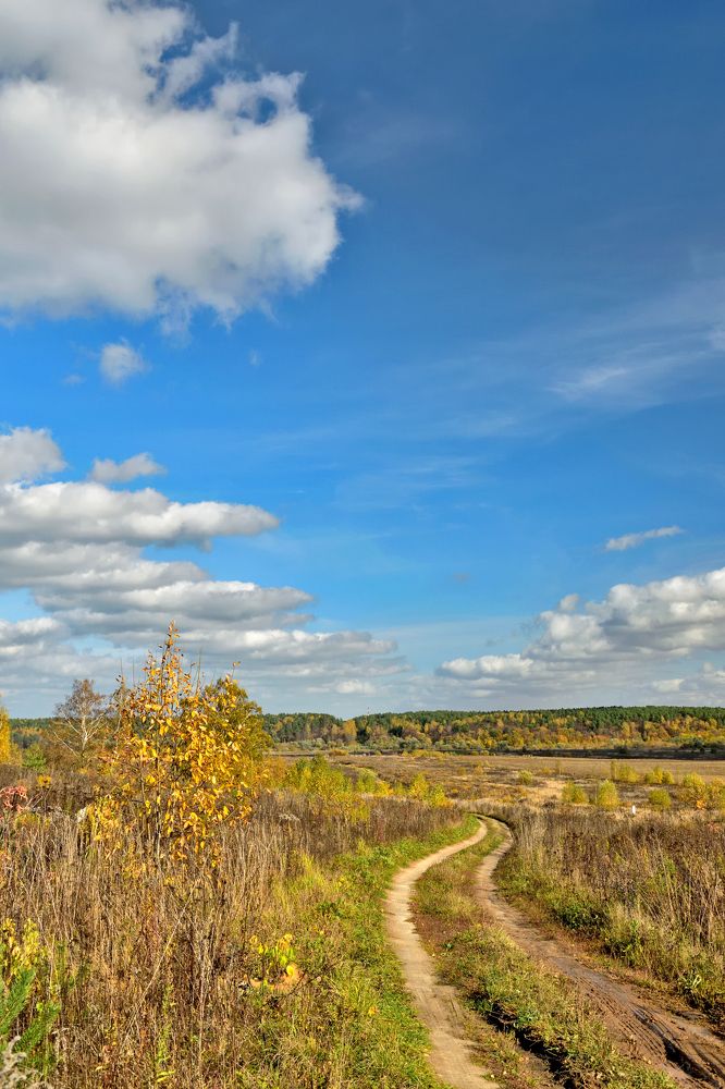 Photograph by Aleksander Perevolotsky