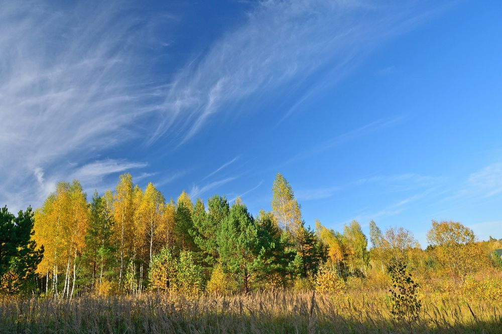 Photograph by Aleksander Perevolotsky