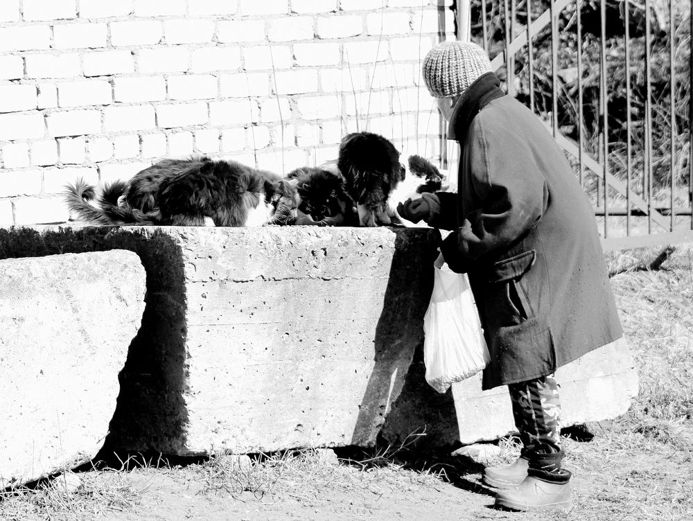 Photograph by Алексей Макаров