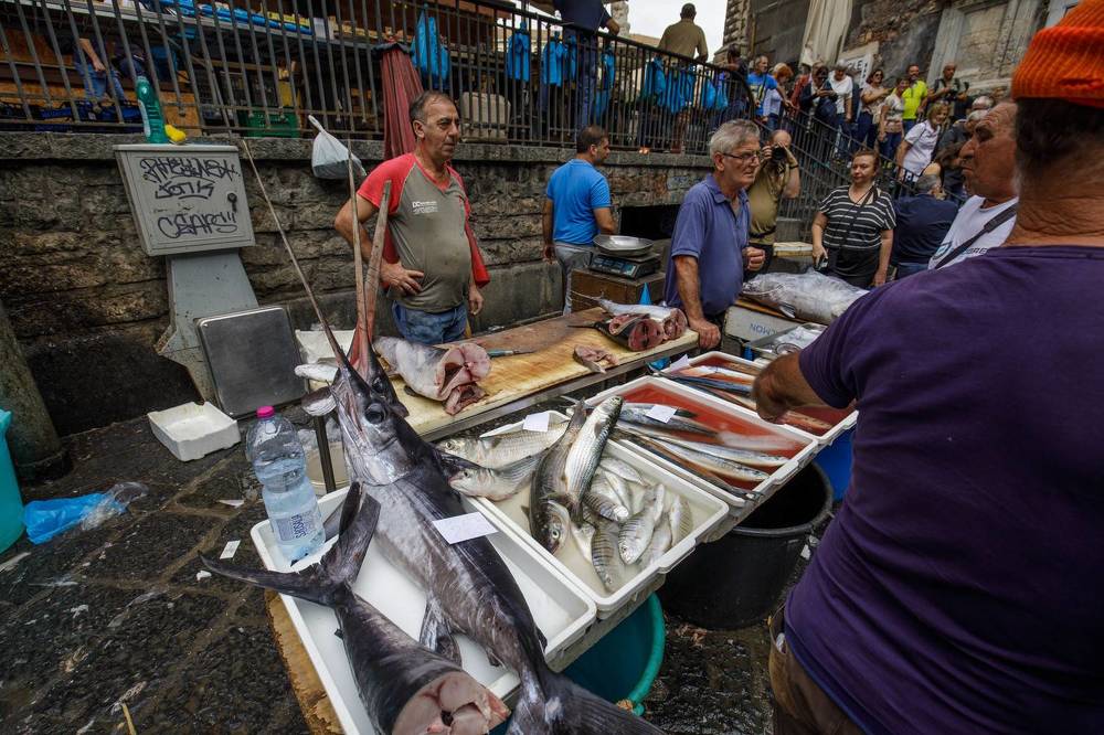 Фотография автора Dmitry Shterenberg