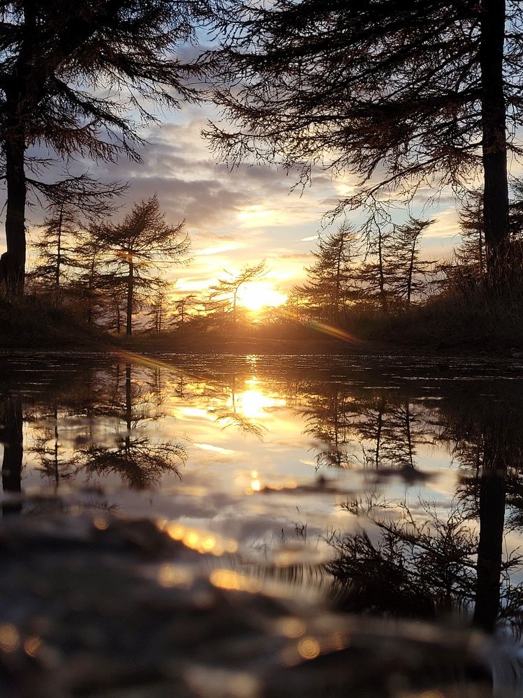 Волшебный вечер,  A magical evening