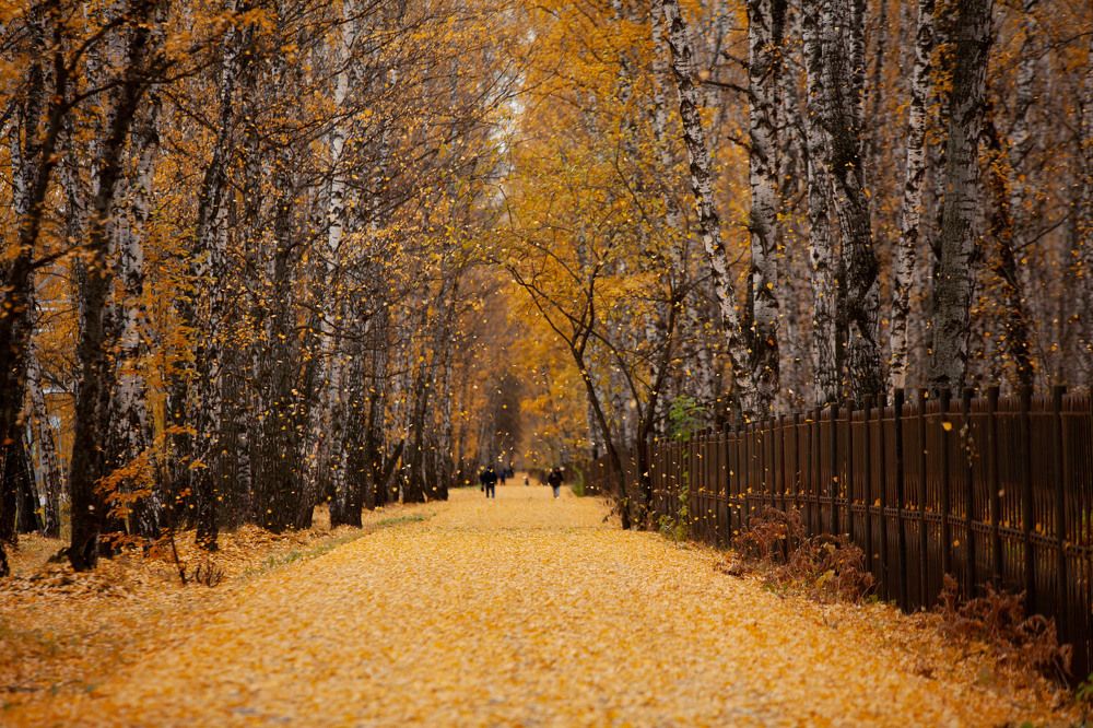 Photograph by Ирина Шарова