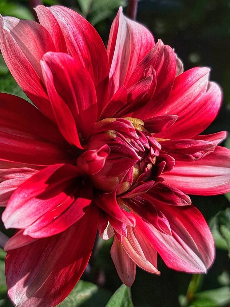 Photograph by Оксана Юдина