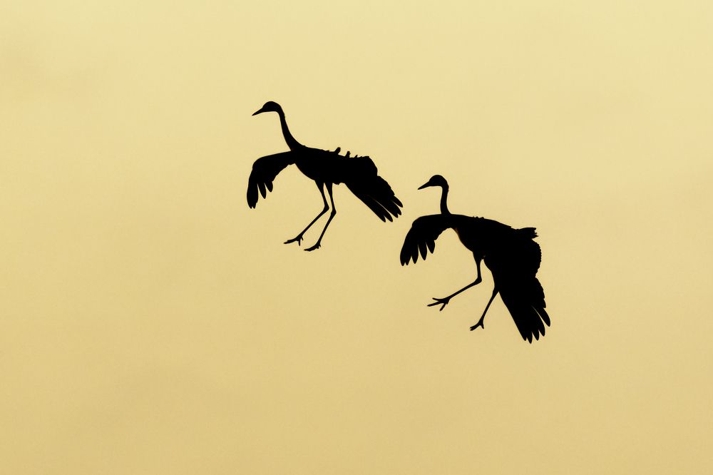 Фотография автора Katrin Lillenthal