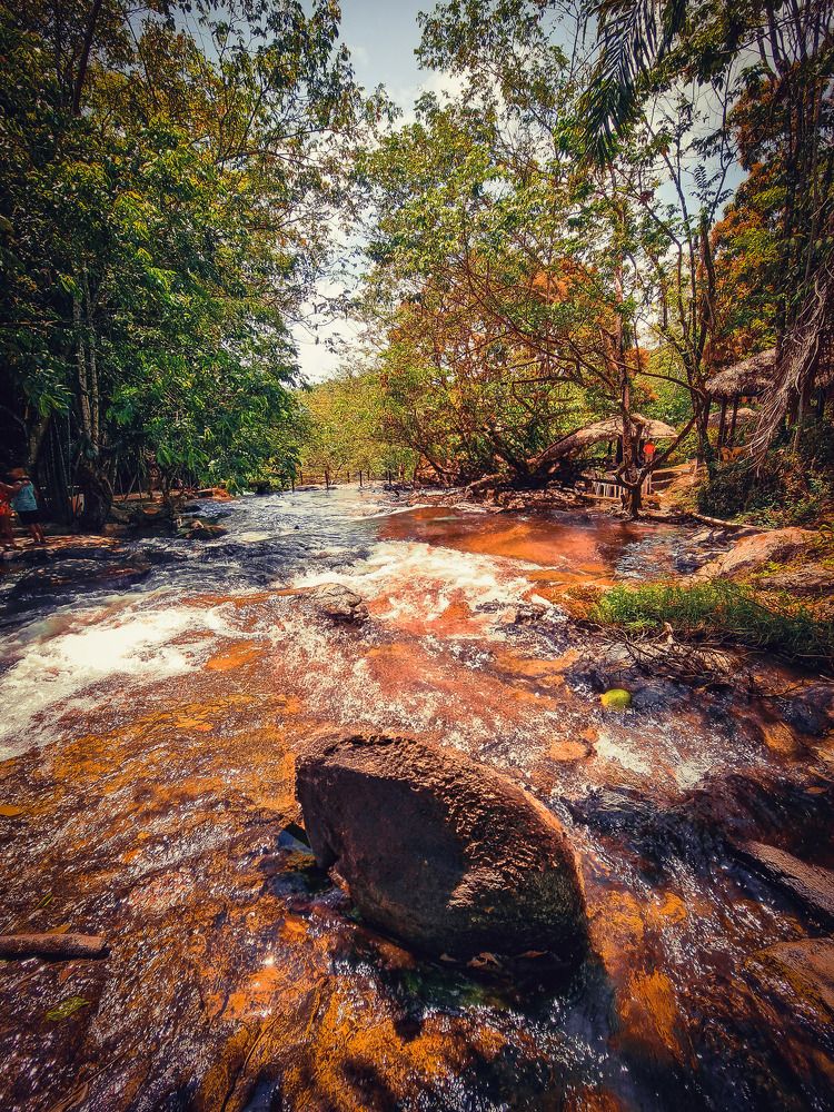 Фотография автора Walfrido Alexandre