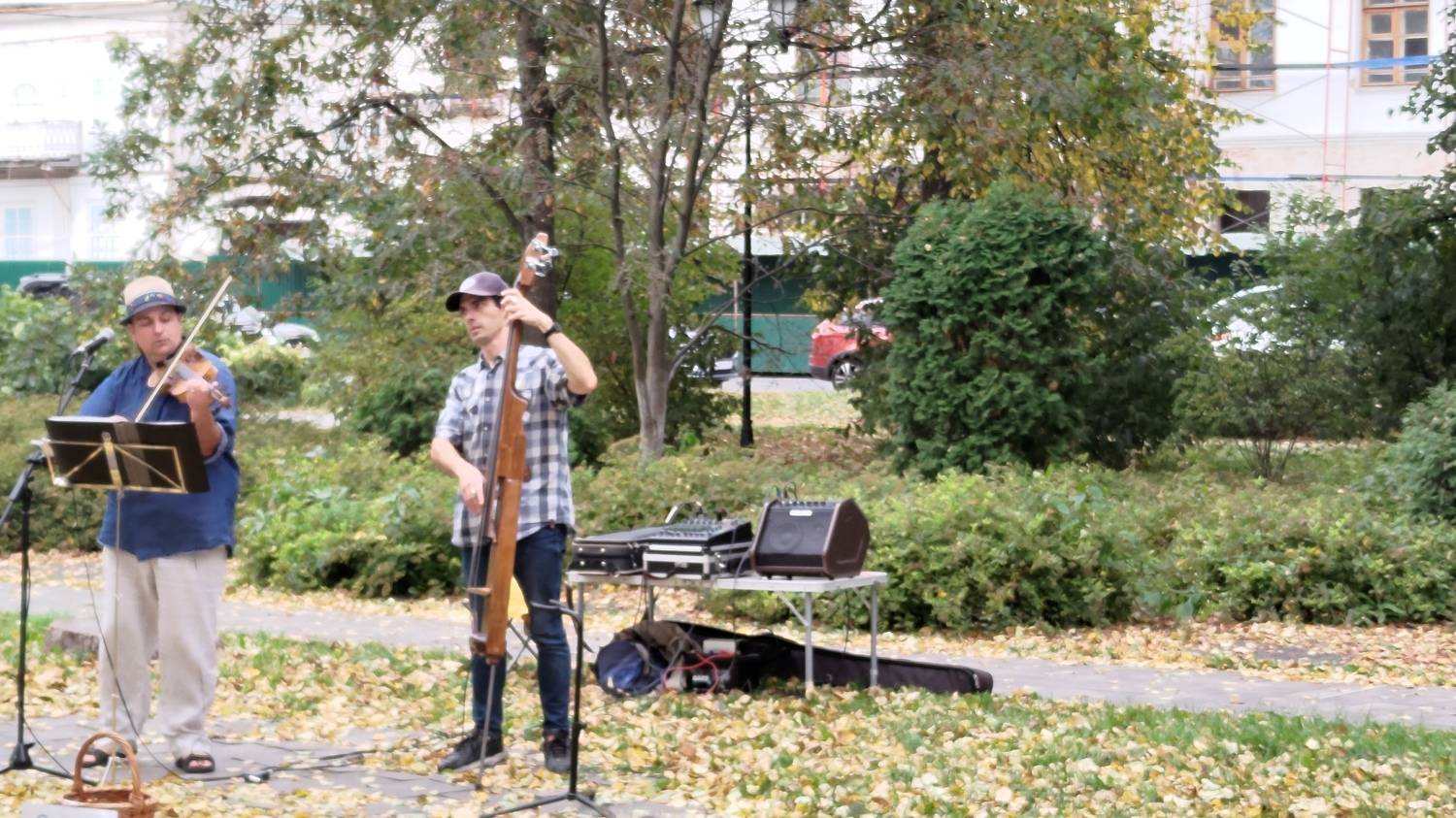 Photo #11176361